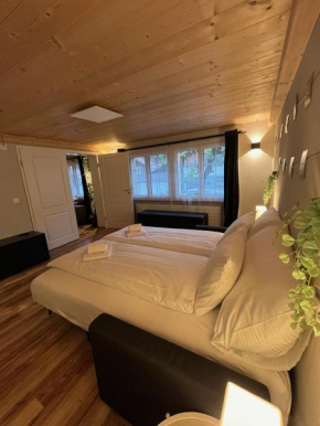 Mountain Homes